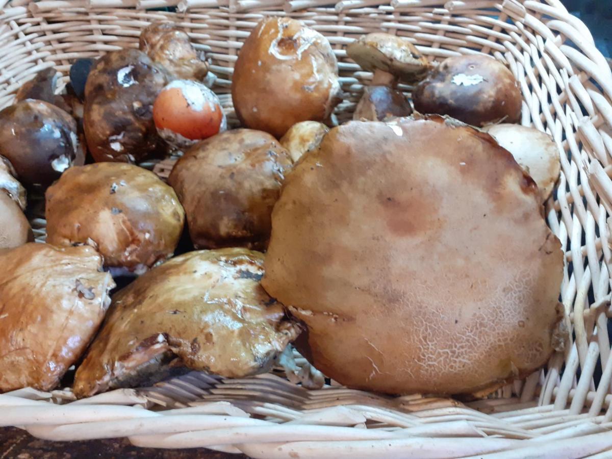 Вилла La Vecchia Quercia Pergine Valdarno Экстерьер фото